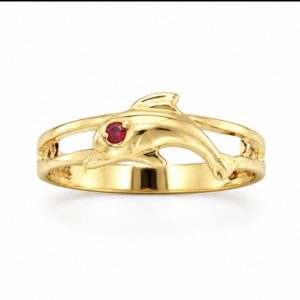 Ring-Dolphin